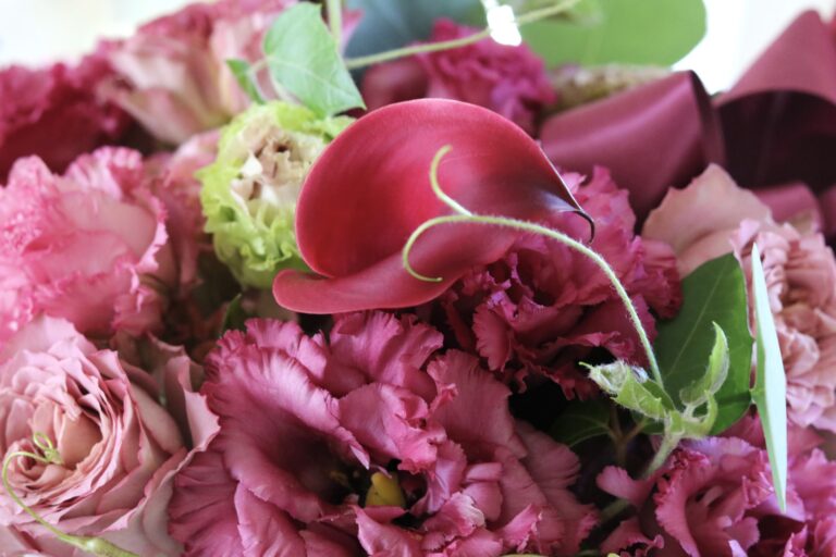 ESSENTIA STYLE エセンティア