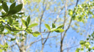”私らしさ”を見つけたのは、子育てがきっかけだった　〜ありがとう、あの日の私