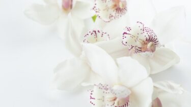 埋もれない私を生きる　〜オトナ女性がもっと素敵になる方法