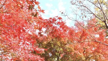 若い世代から学ぶ”優しさの循環”