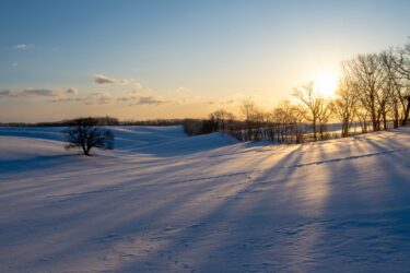 2025年もあとわずか・・