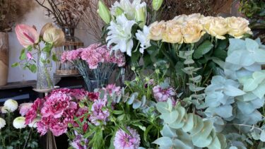 「言いたいこと」と「言わなければならないこと」のあいだで、私たちは成熟していく