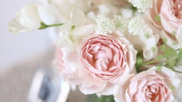 2026年　元旦のご挨拶