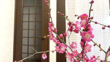 大人の女性ならではの魅力とは