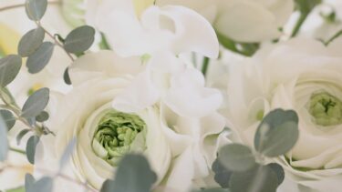 不足感を手放せたとき、自分らしく生きることが始まる