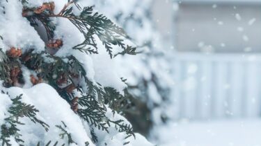 迷わない毎日が、人生を軽やかに展開していく