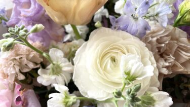 私たちの背中は、誰かの未来になる