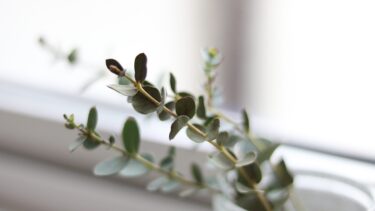 「どんな私でもいい」と思えた日から人生は動き出す