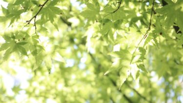 人生の陰は、次の光への入口