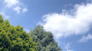 循環とバランス