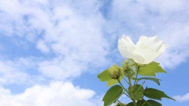 誰と一緒にいるかで、見える景色は変わる