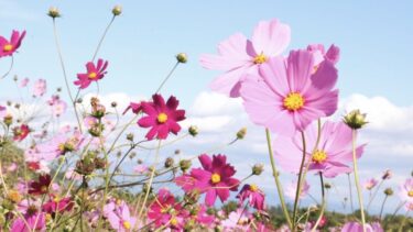 「何を持っているか」ではなく、それを通して「どう生きたか」